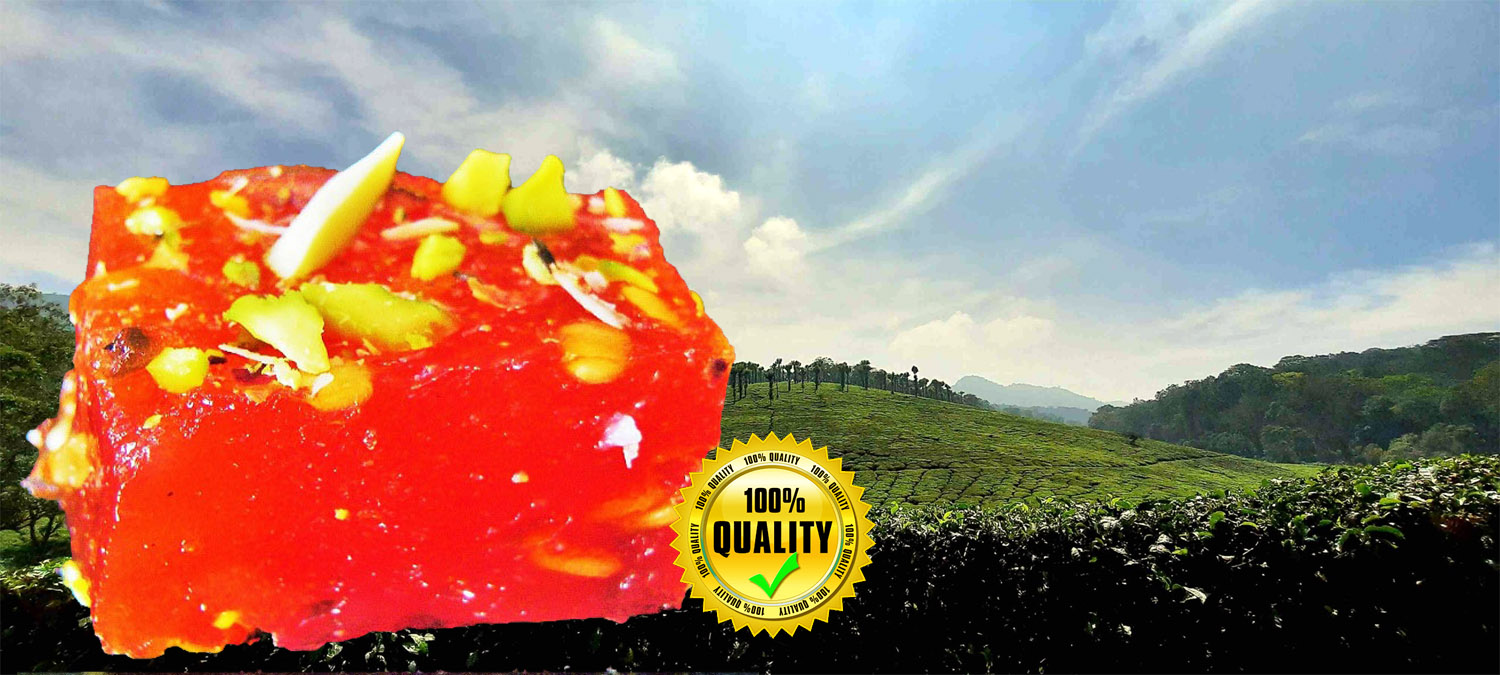 Modular Living Area Designs